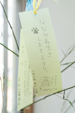 七夕飾り 七夕飾り