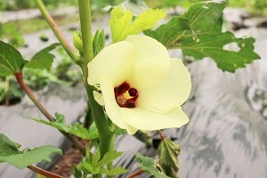 0722(10)