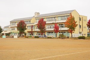 1023(10)
