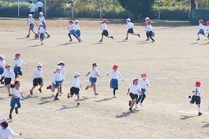1118(6)