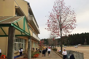 1203(4)