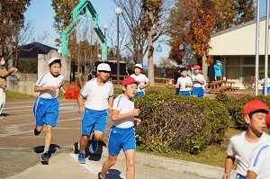 1204(16) 1204(16)