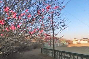 0122(3)