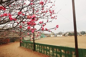 0127(3)