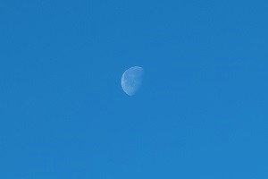 0203(2)