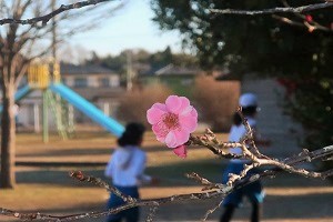 0218(4)