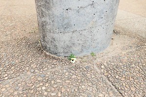 0226(2)