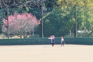0303(2)