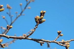 0317(12) 0317(12)