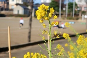 0317(16) 0317(16)