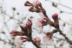 0322(1)