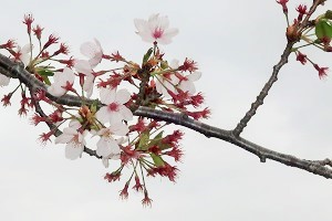 0406(1)