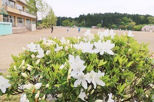 0428(1) 0428(1)