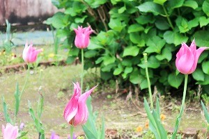 0506(7)