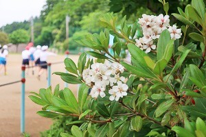 0519(2) 0519(2)