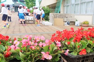 0528(2) 0528(2)
