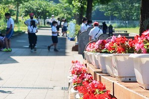 0609(1)