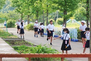 0611(2) 0611(2)
