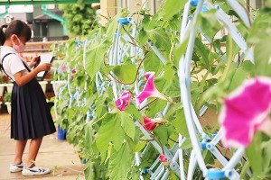 0705(4) 0705(4)
