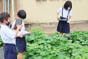0706(1) 0706(1)