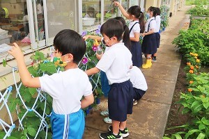 0709(2) 0709(2)