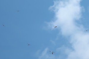 0714(6) 0714(6)