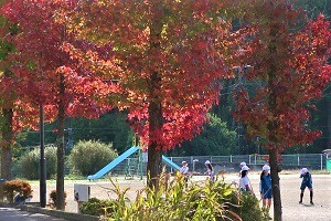 1027②