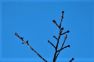 1215⑤