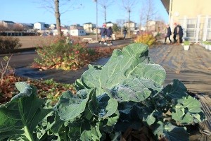 1215⑦