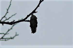 0126(6) 0126(6)
