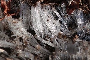 0222(10) 0222(10)