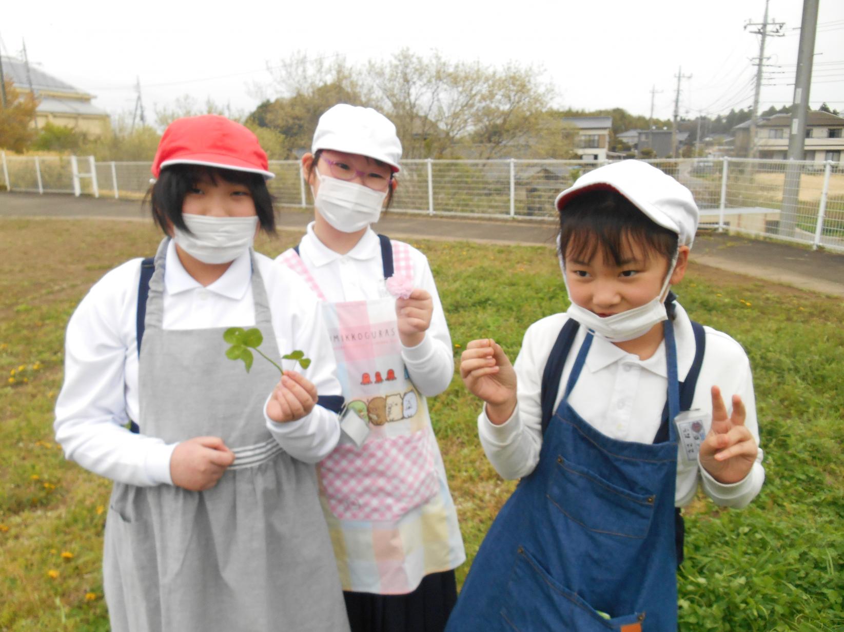 DSCN4053