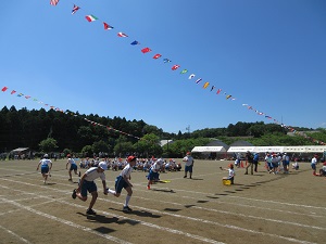 IMG_1129