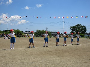 IMG_1146