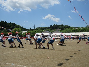 IMG_1152