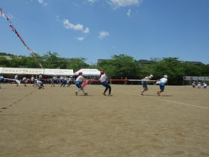 IMG_1153