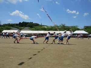 IMG_1154