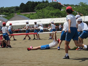 IMG_2477