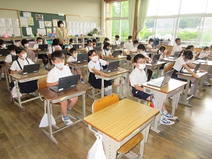 IMG_1234 IMG_1234