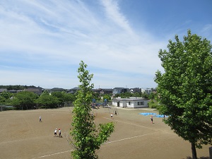 IMG_1344