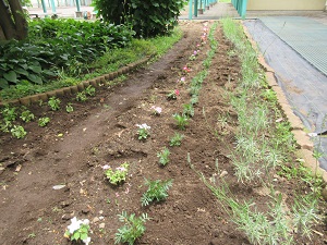 IMG_1363 IMG_1363