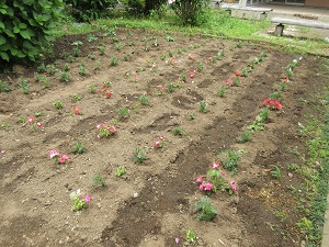 IMG_1364 IMG_1364