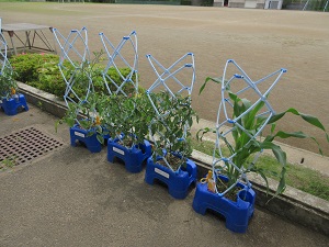 IMG_1367 IMG_1367