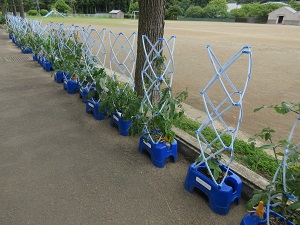 IMG_1368 IMG_1368