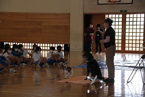IMG_6197 IMG_6197
