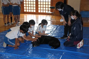 IMG_6207 IMG_6207
