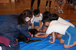 IMG_6211 IMG_6211