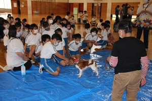 IMG_6213 IMG_6213