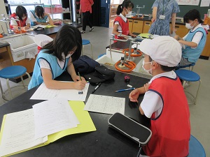IMG_1410 IMG_1410