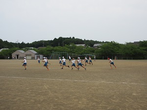 IMG_1414 IMG_1414